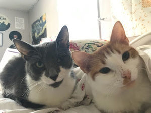 Meet your Posher, Juliana